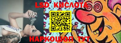 твердый Владимир
